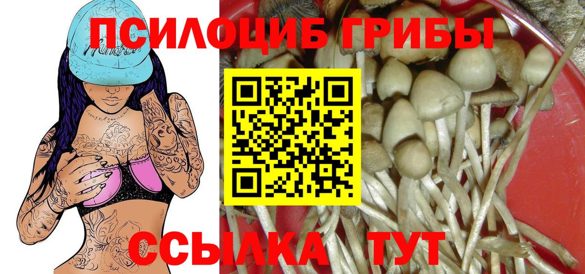 даркнет сайт  Вход с VPN  Среднеуральск  Псилоцибиновые грибы Psilocybine cubensis 