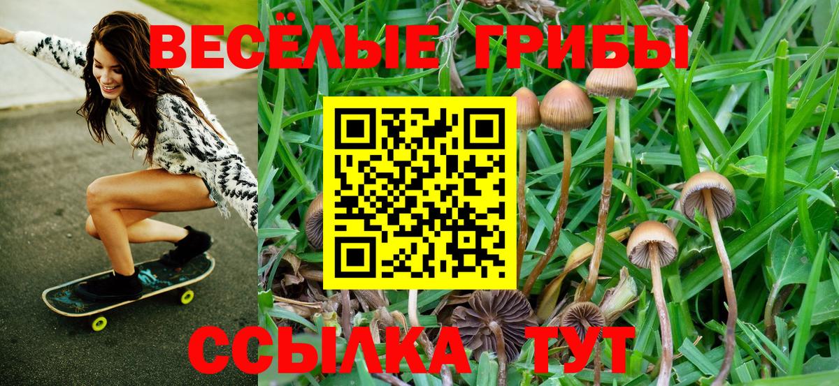 Псилоцибиновые грибы прущие грибы Среднеуральск